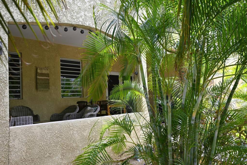 Caribbean Happyness Apartment Willemstad Bagian luar foto